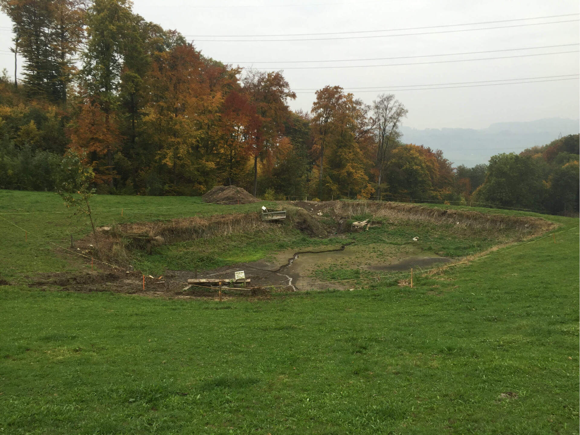 Gartenbau und Gartengestaltung Sanierung Lehmteich