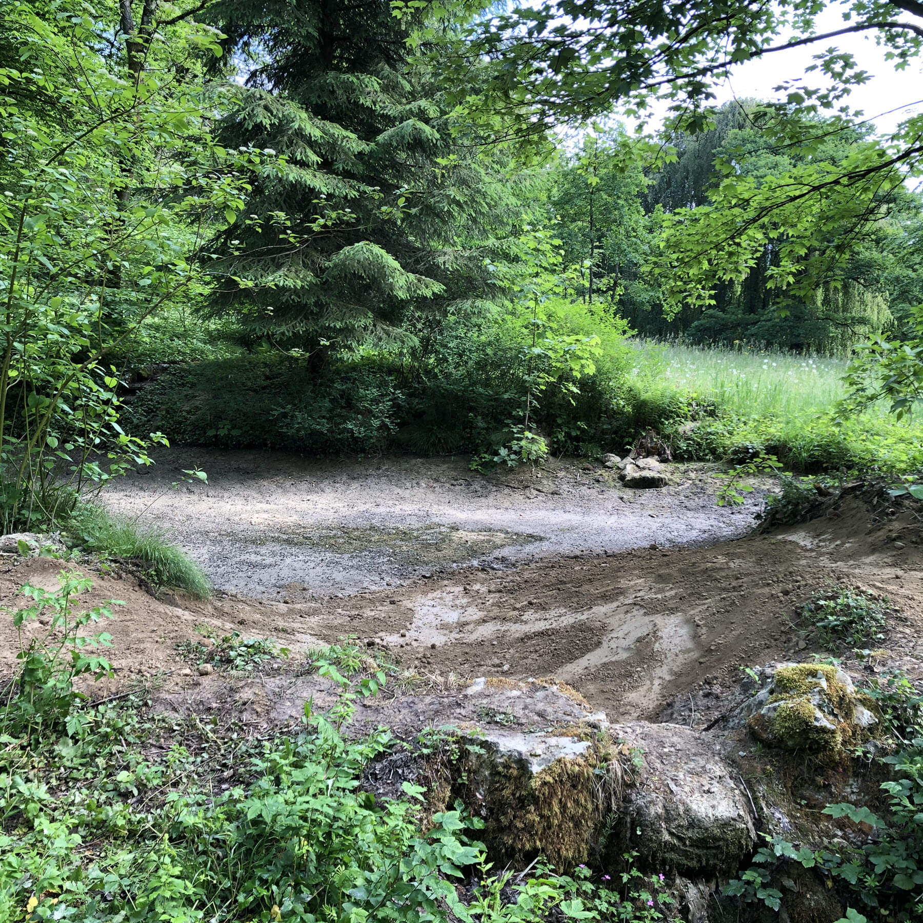 Gartenbau und Gartengestaltung Sanierung Lehmteich