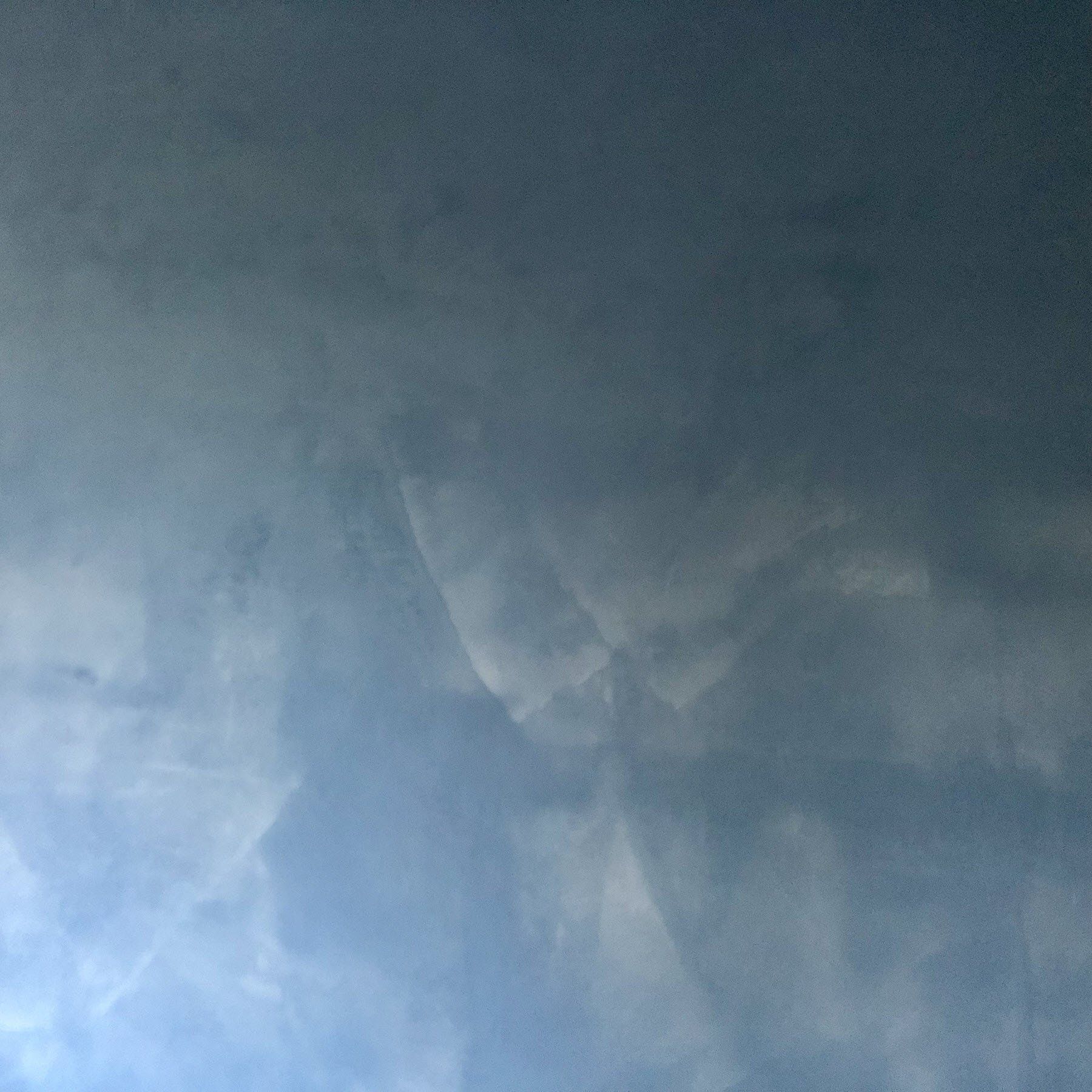 Gartenbau und Gartengestaltung Lehmwand blau