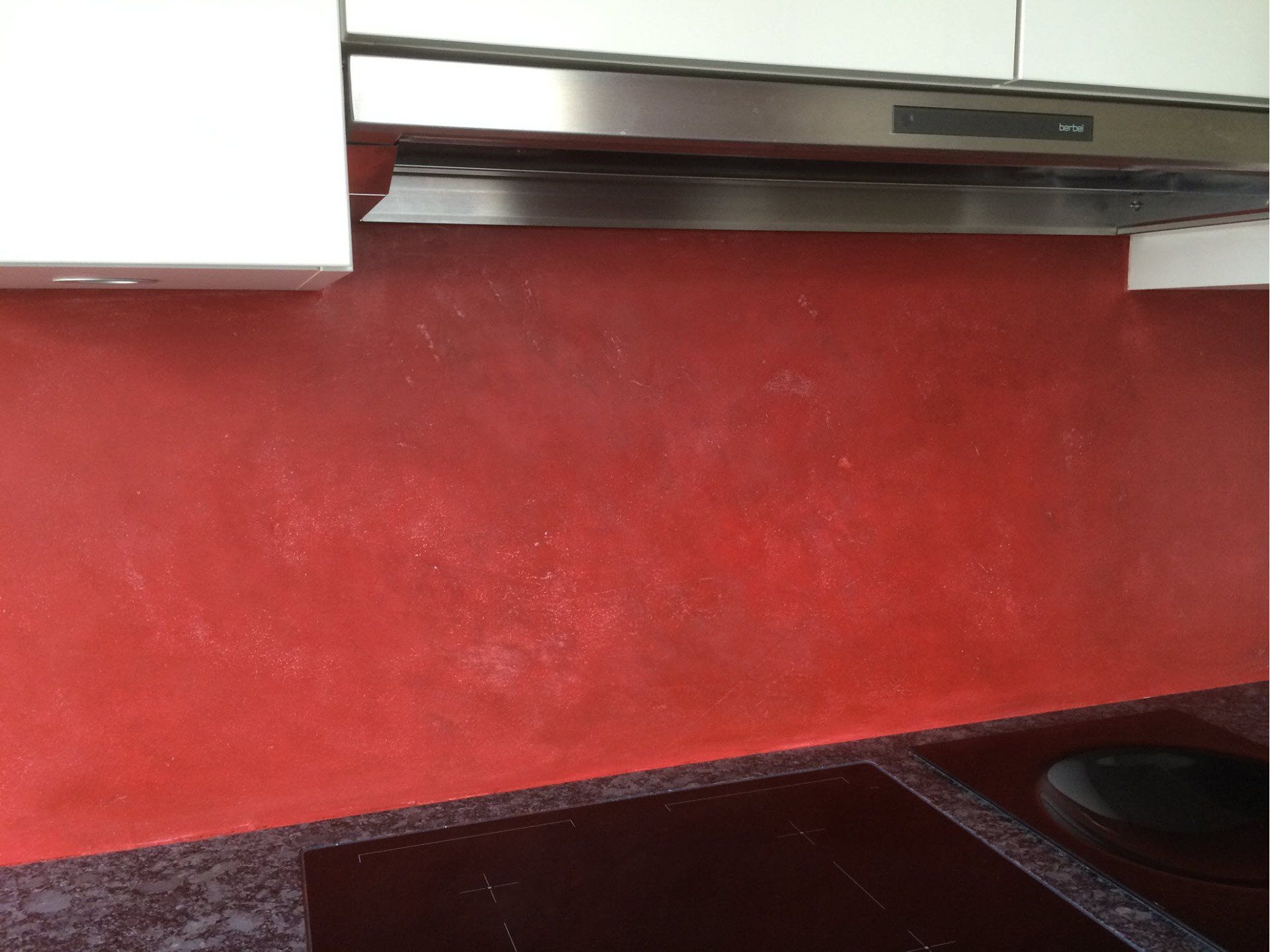 Gartenbau und Gartengestaltung Küche Tadelaktwand