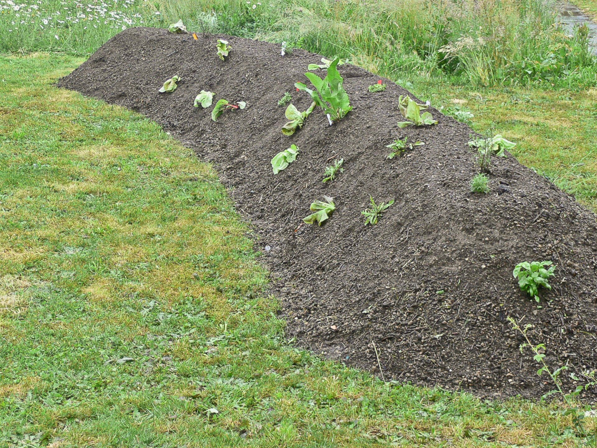 Gartenbau und Gartengestaltung Hügelbeet Permakultur