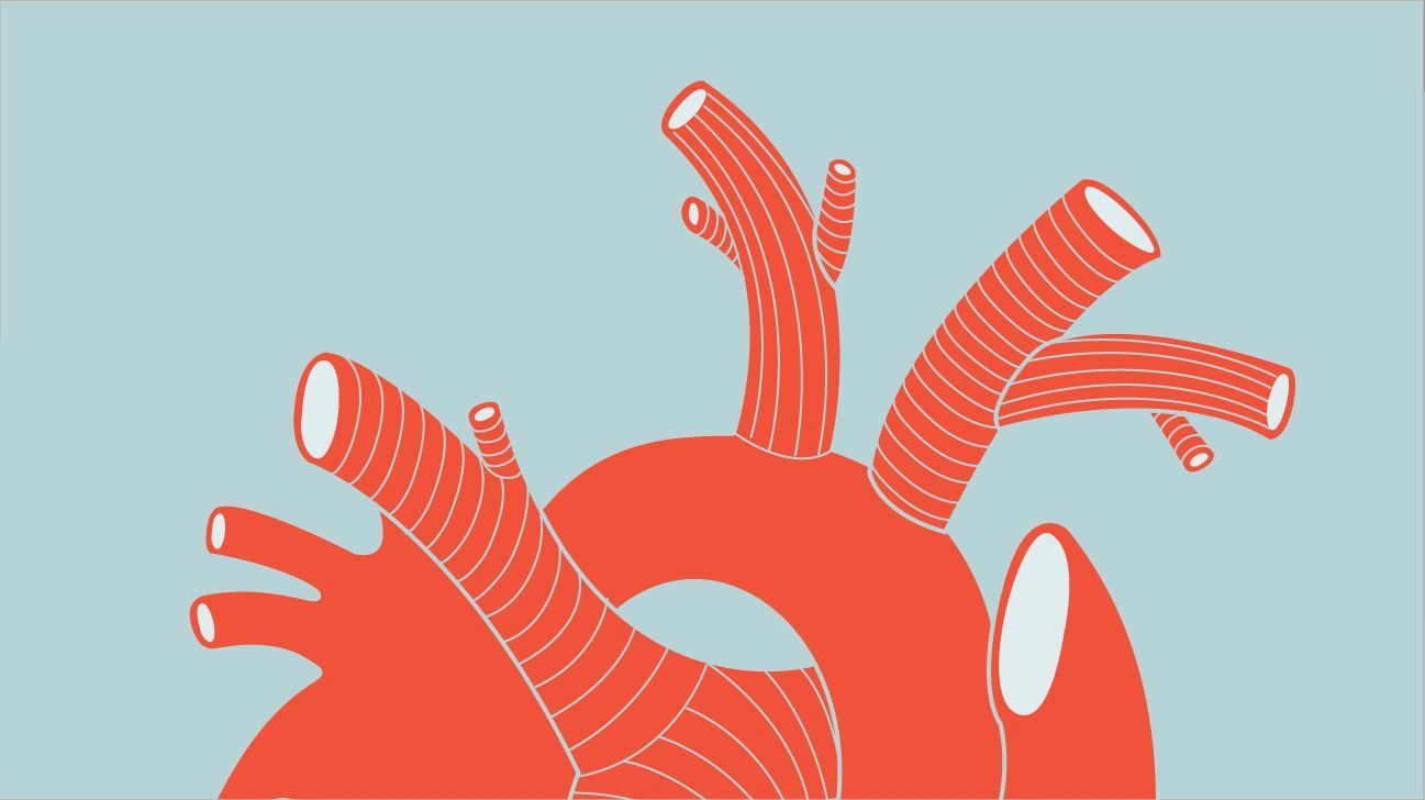 A drawing of a heart.