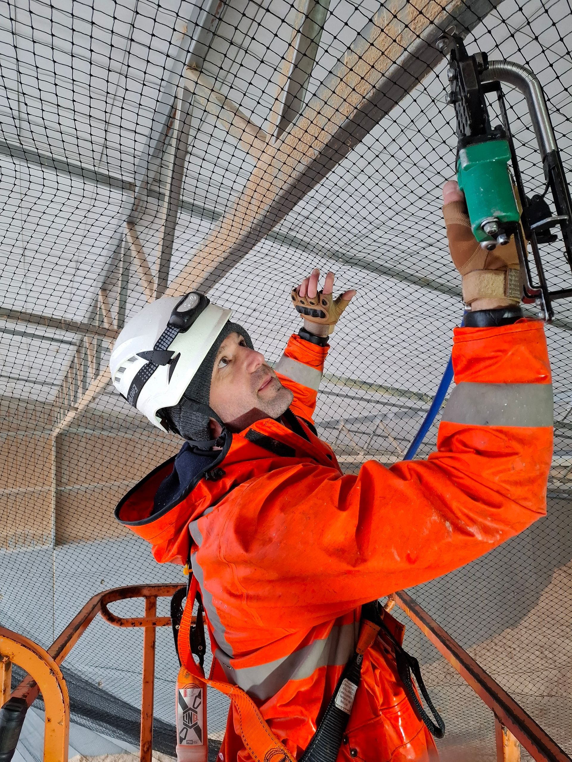 Technician setting up traps.