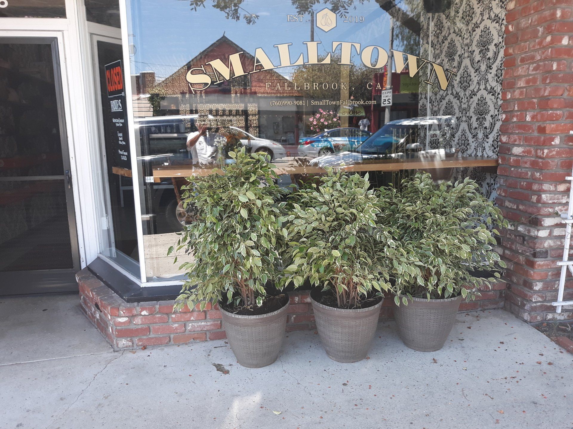 A small town store front with potted plants in front of it