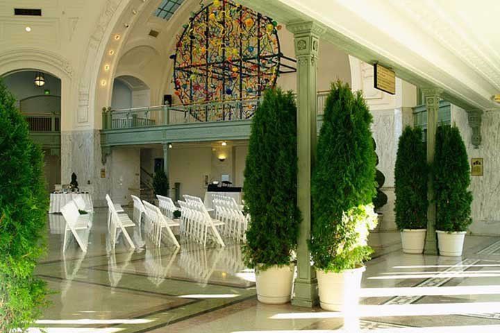 A row of white chairs are lined up in a room with potted plants.