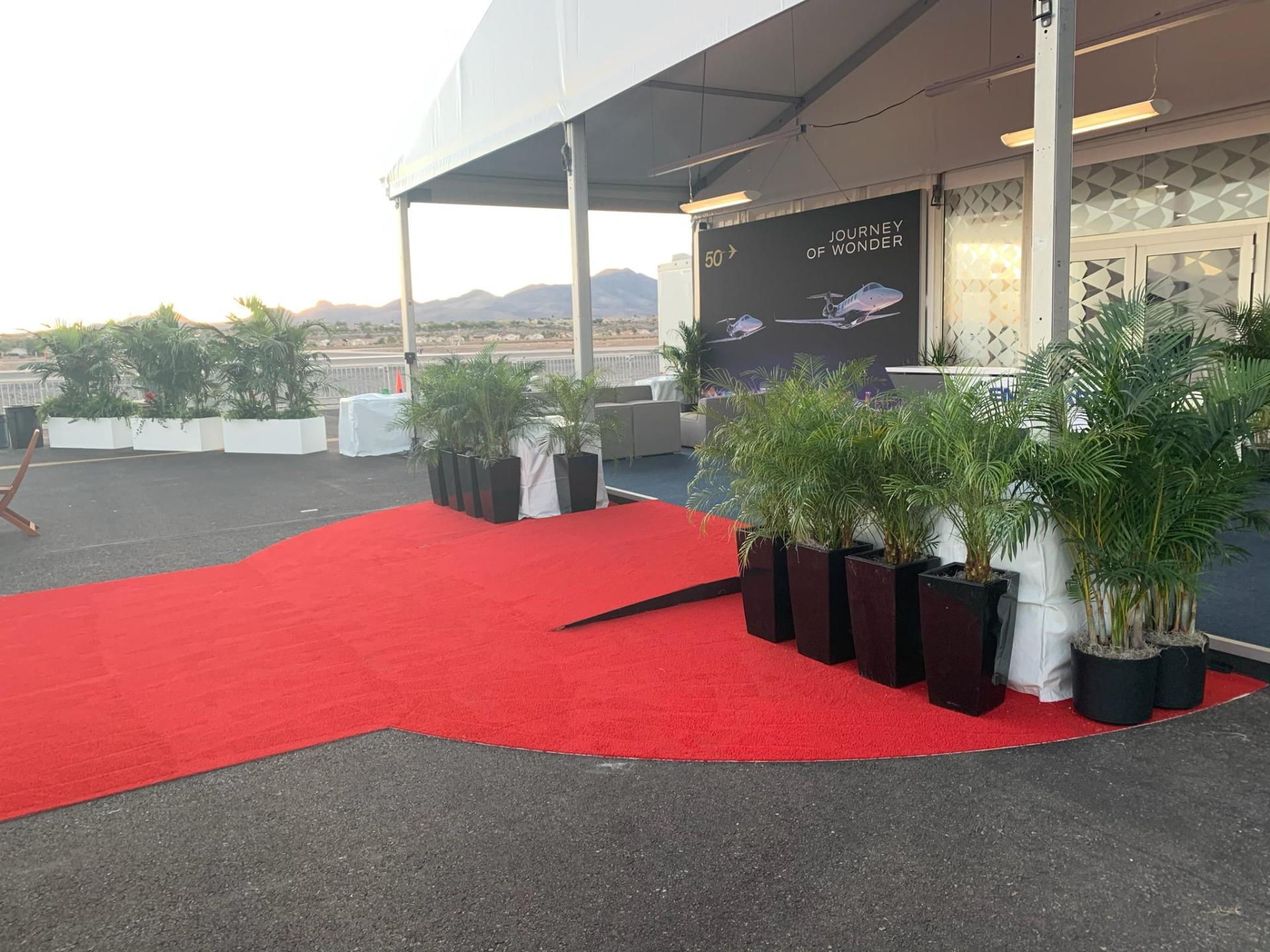 A red carpet is lined with potted plants in front of a building