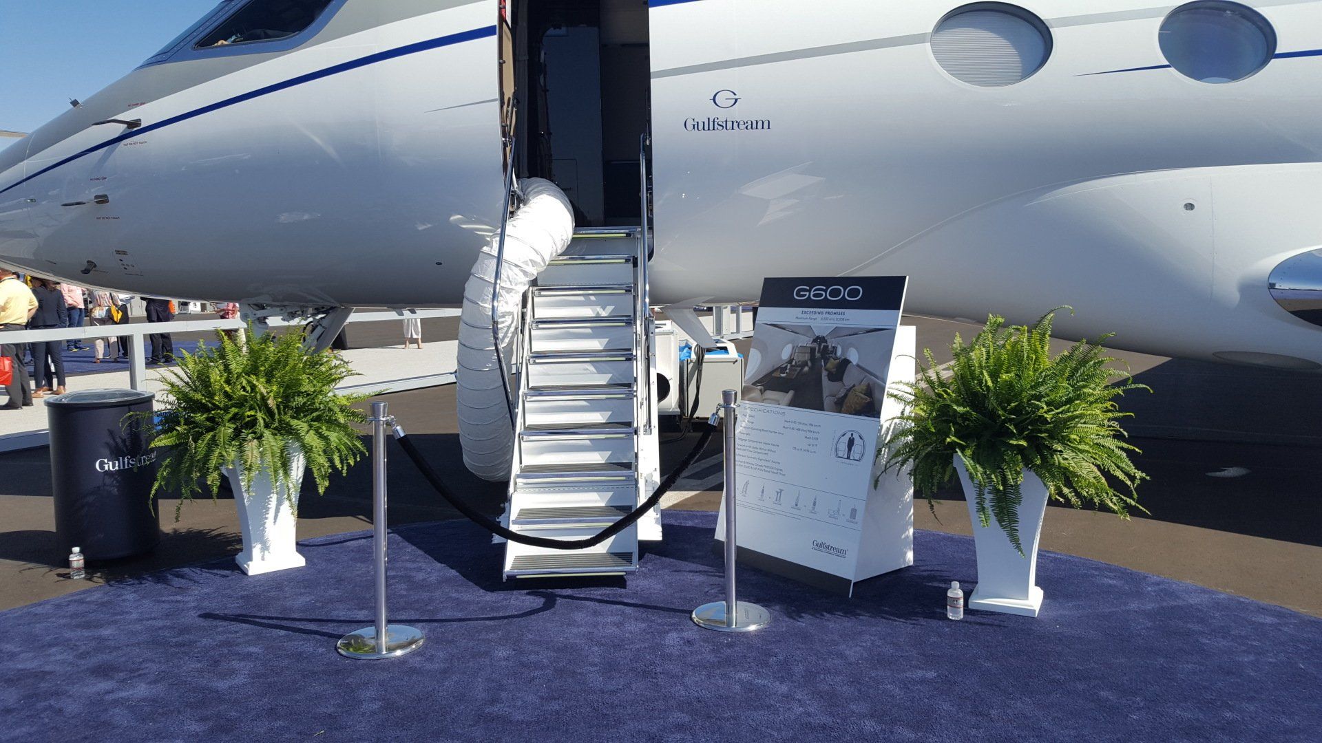 A small jet is parked on a purple carpet