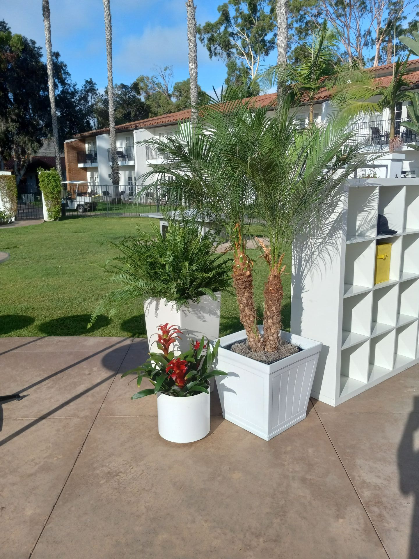 A patio with potted plants and a shelf in the background