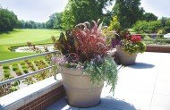 A balcony with potted plants and a view of a golf course.