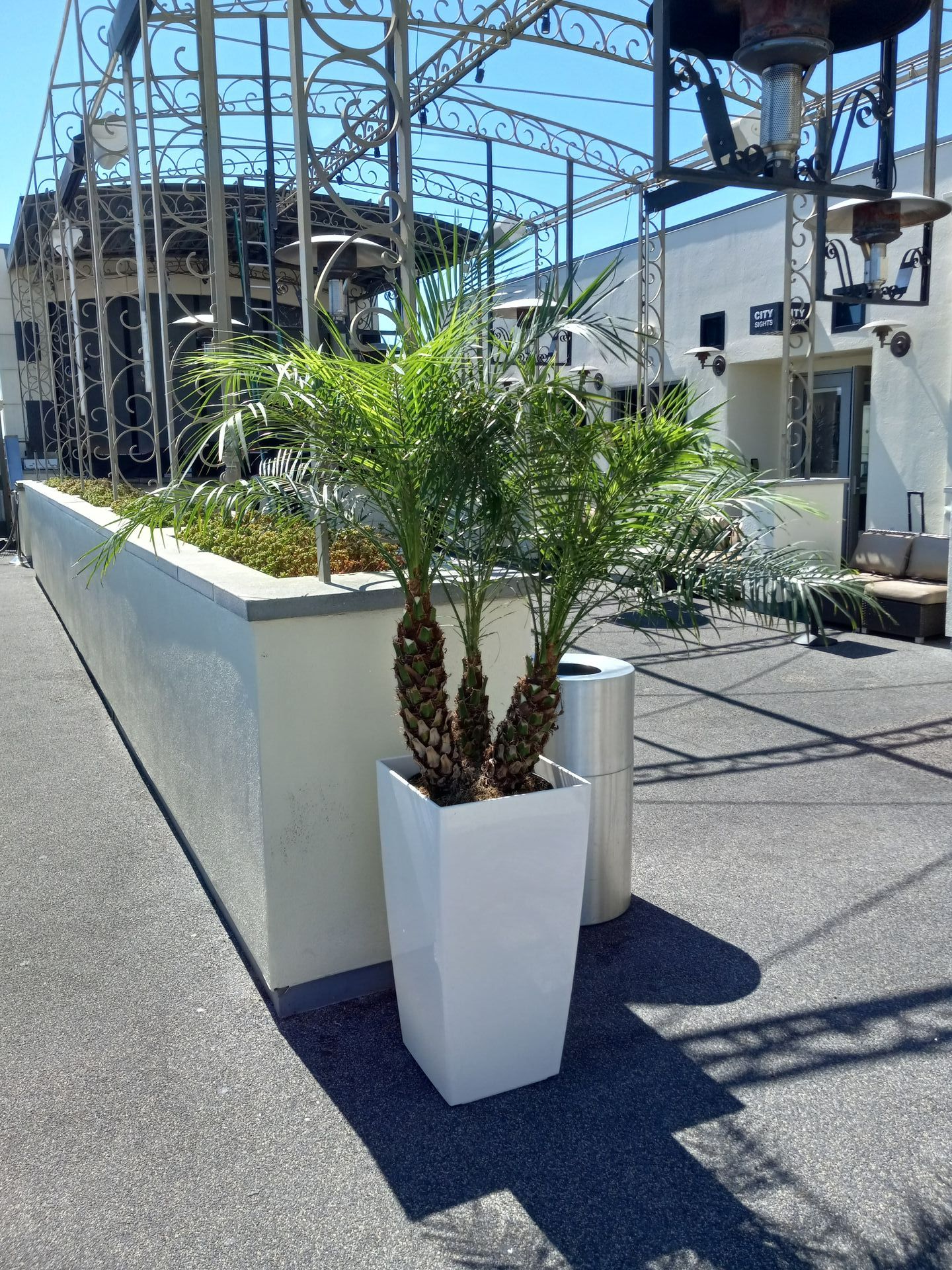 A large potted plant is sitting in front of a building under construction.
