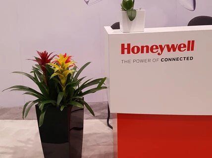 Two potted plants are sitting in front of a honeywell counter.