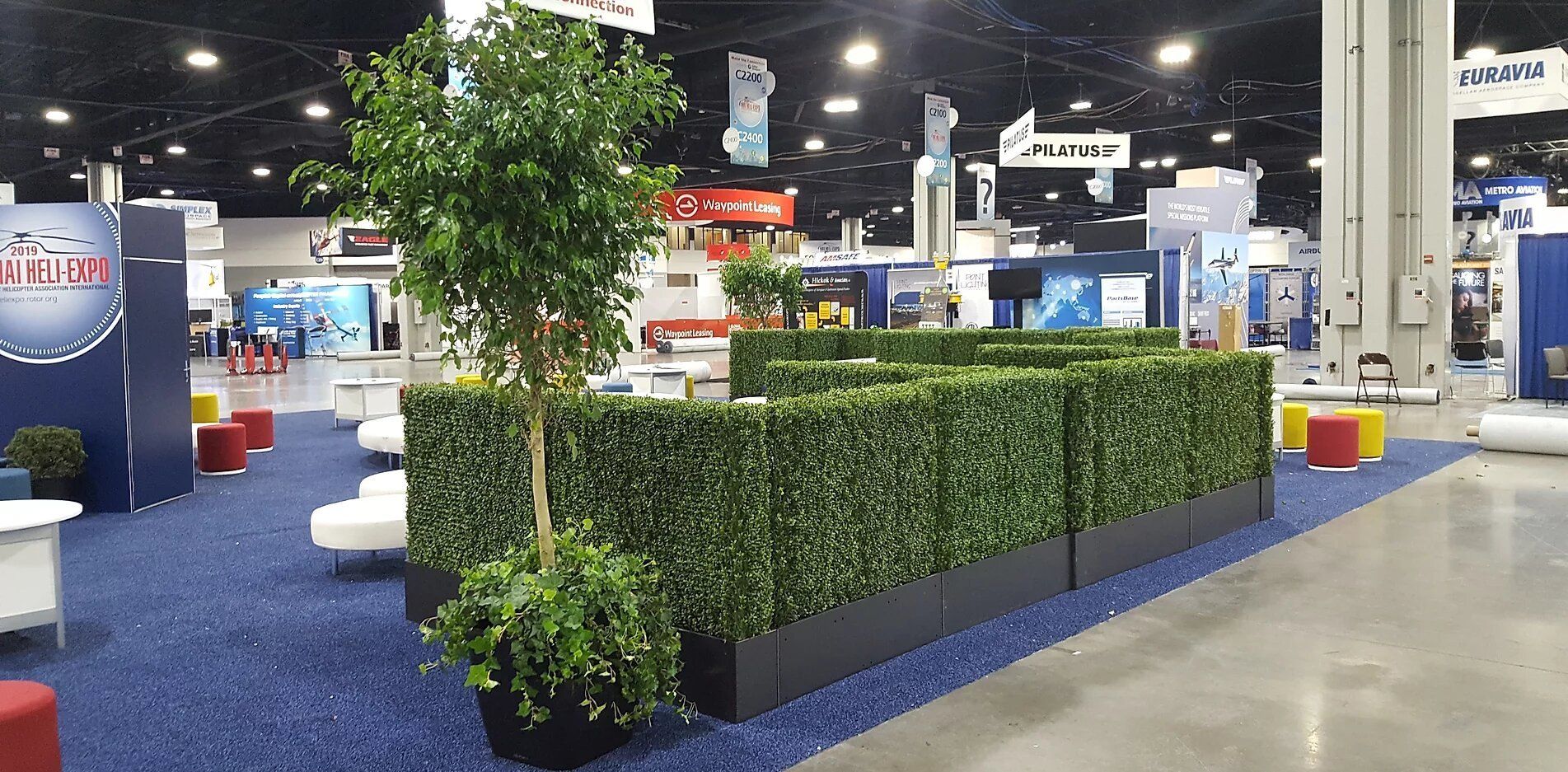 A large room with a lot of plants in it