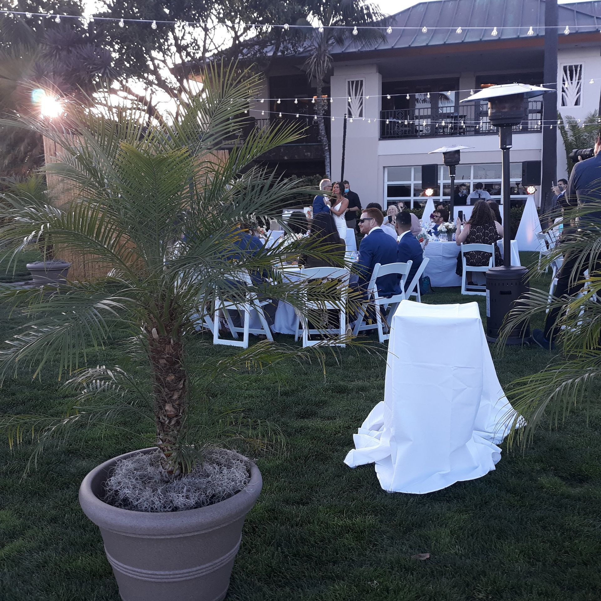 A group of people are sitting at tables outside in the grass