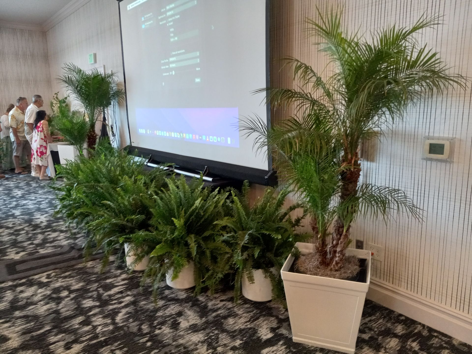 A room with a projector screen and potted plants in front of it.