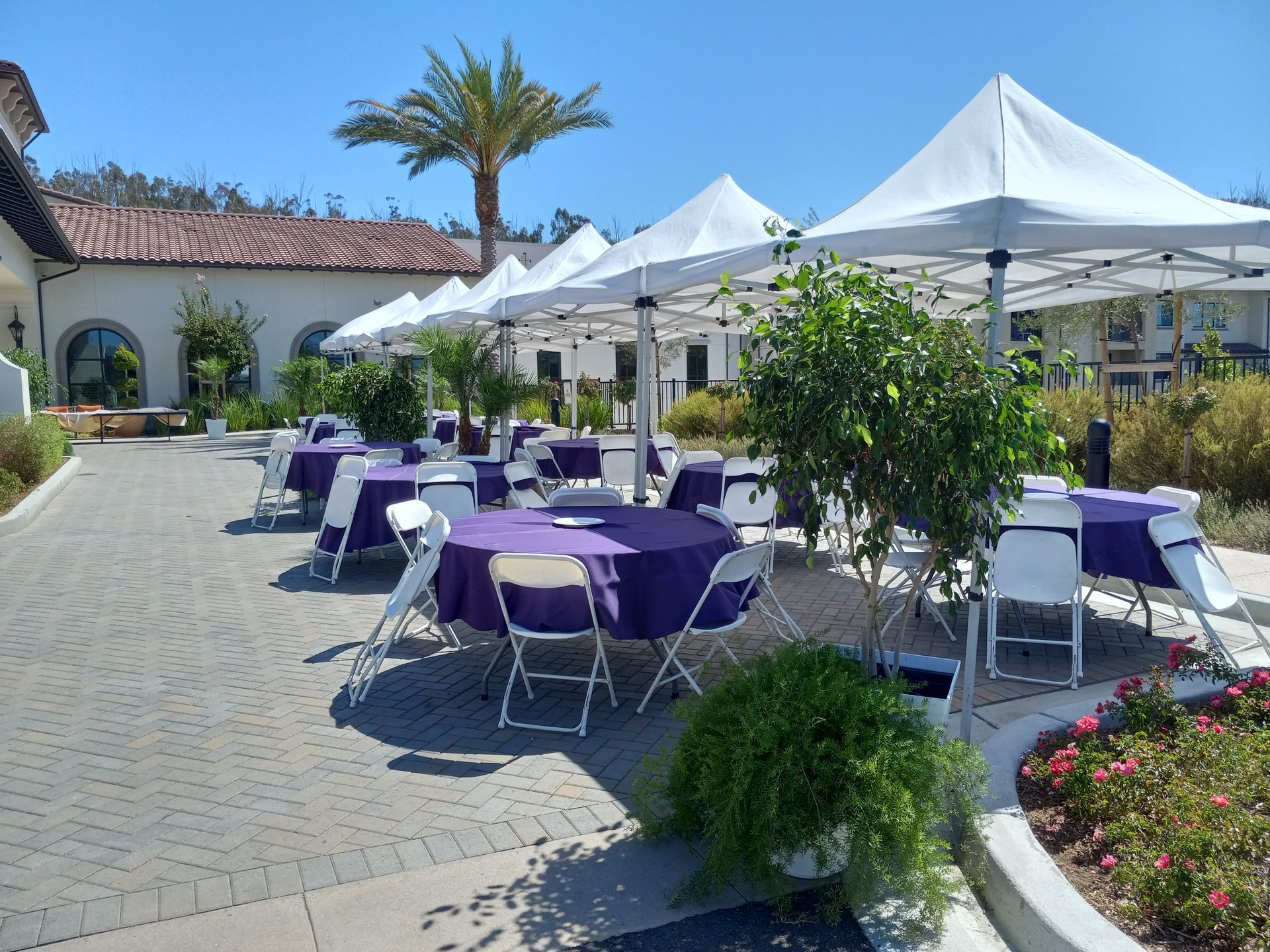 A row of tables and chairs under tents with purple table cloths