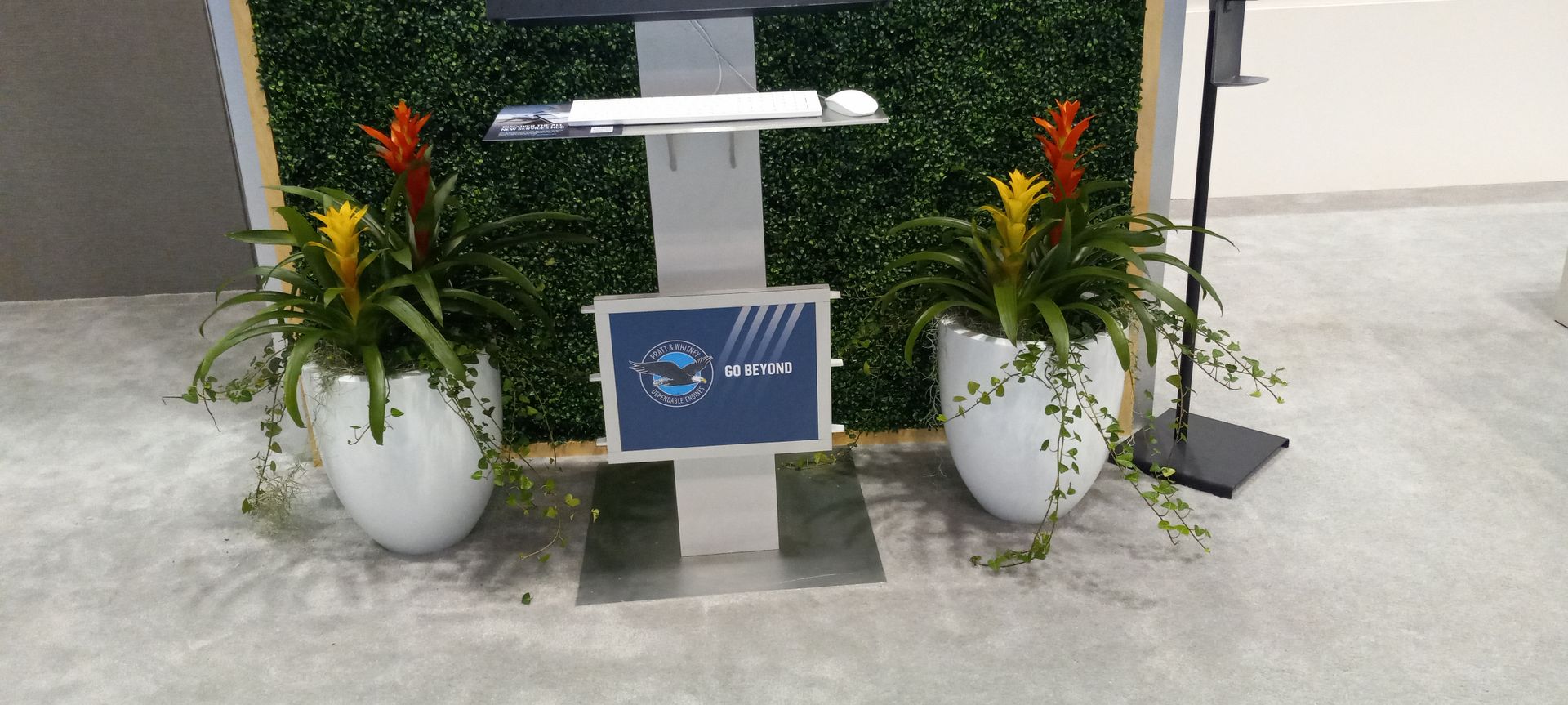 Two potted plants are sitting in front of a green wall.