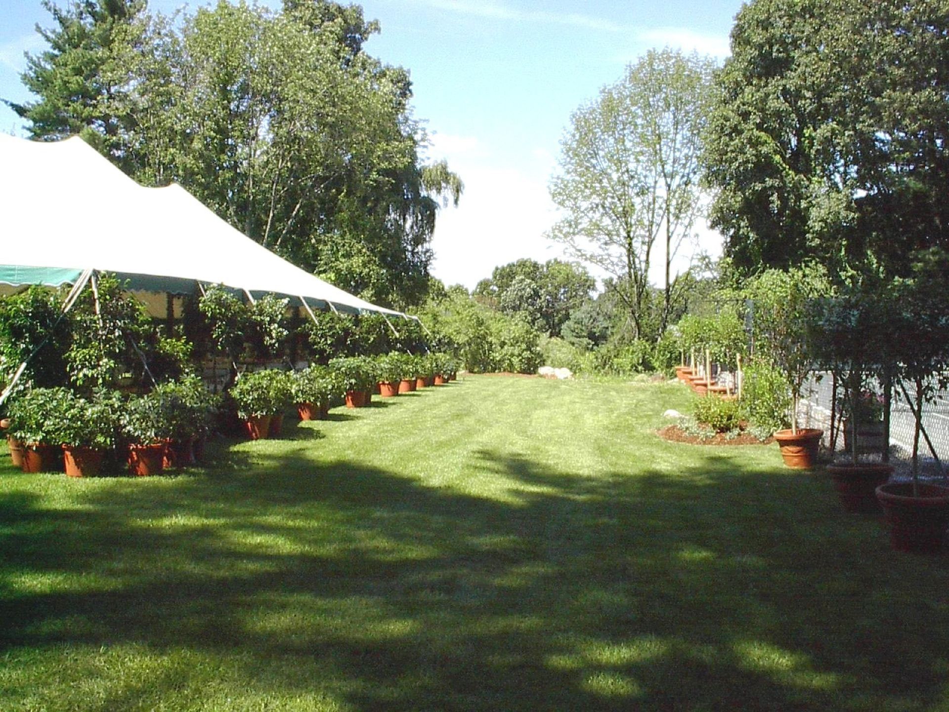 A white tent is sitting in the middle of a lush green field