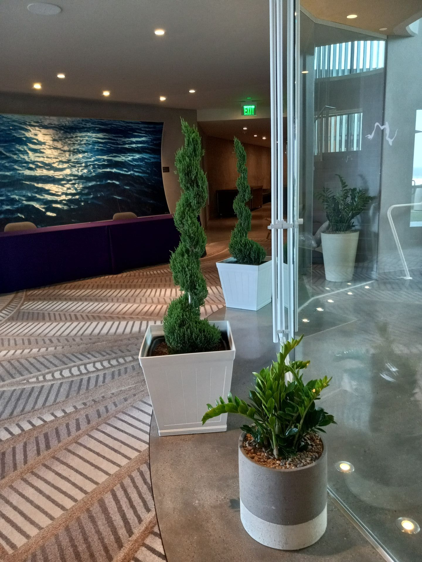 A room with a lot of potted plants in it.