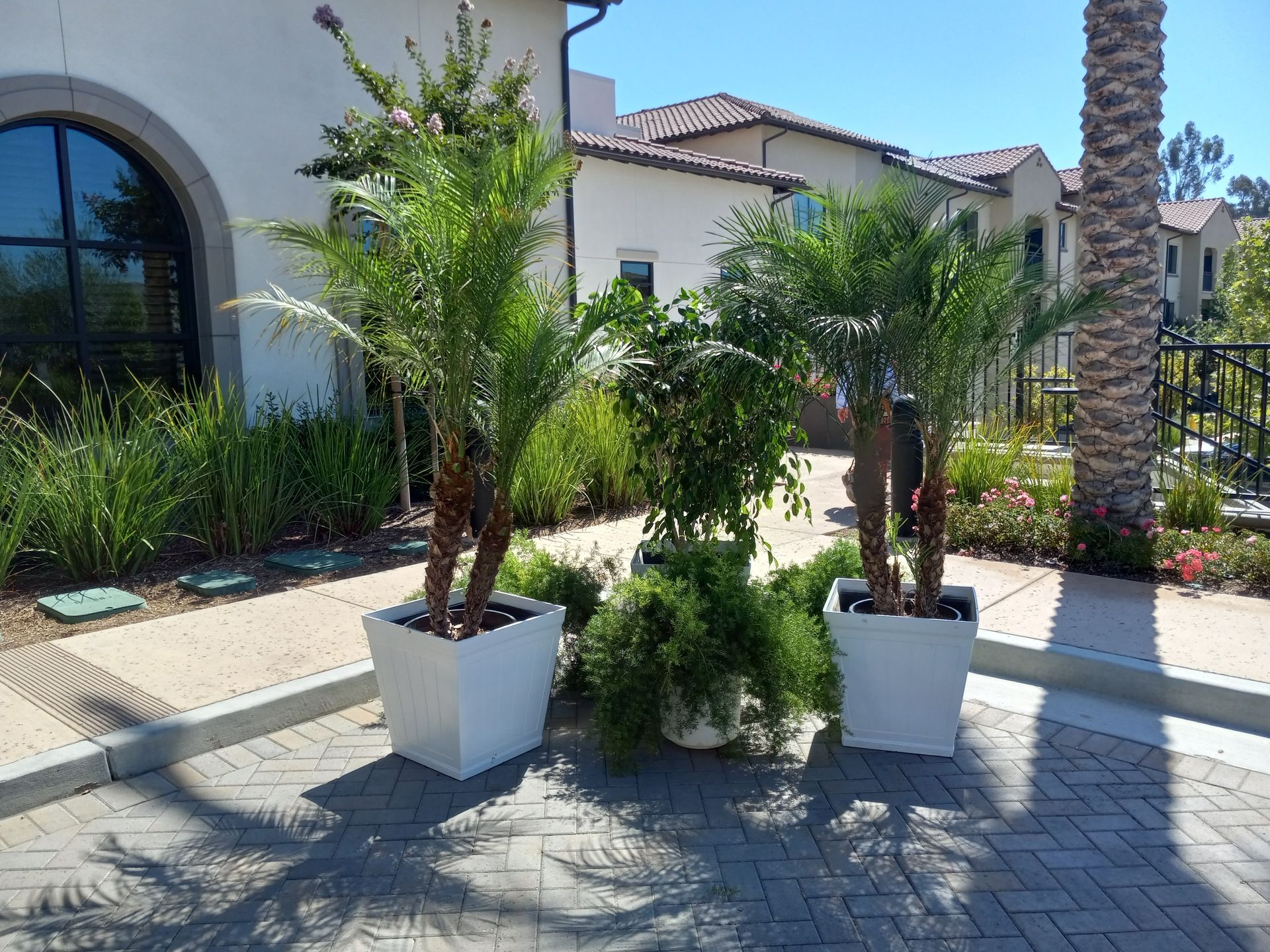 A row of potted plants in front of a building