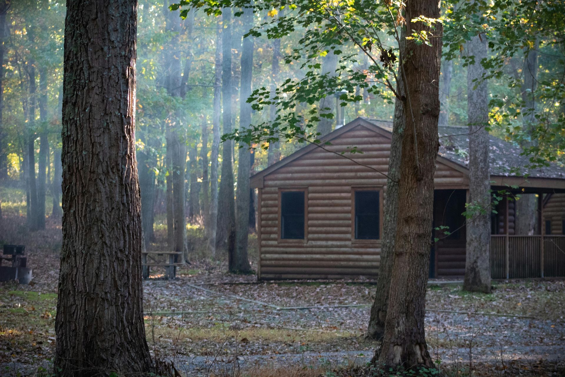Cabin in a forest, sunlight streams through trees. Brown logs, windows, and a porch.