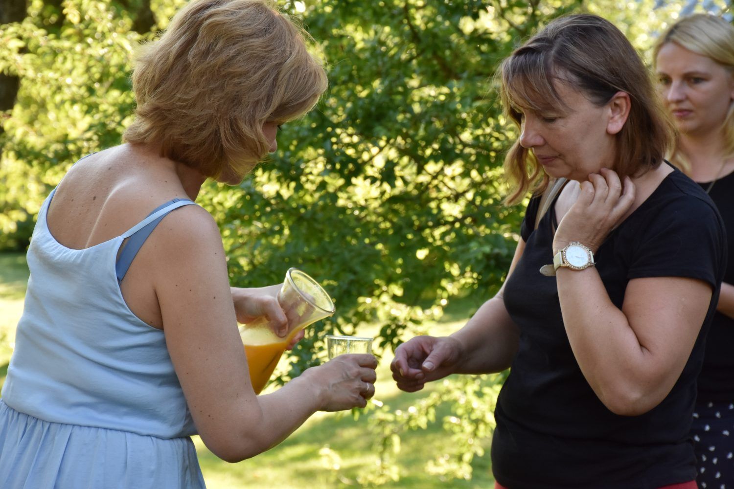 Cukuriņi, ZS Cukuriņi, lauki, lauku tūrisms, ekskursijas, ko darīt Talsos, Talsi, smiltsērkšķis