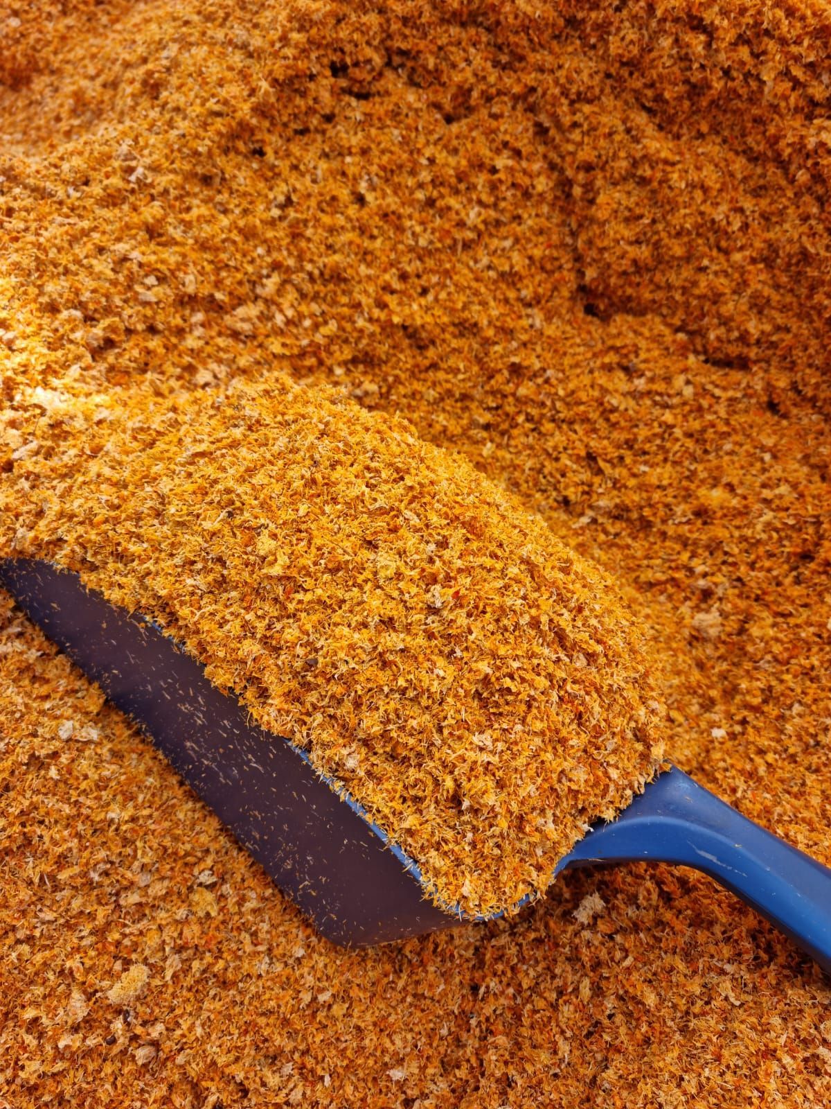 Smiltsērkšķu eļļa, Smiltsērkšķu sula, Smiltsērkšķis, Smiltsērkšķu ogas, Smiltsērkšķu produkcija, lauku tūrisms, stādi, Smiltsērkšķu stādi