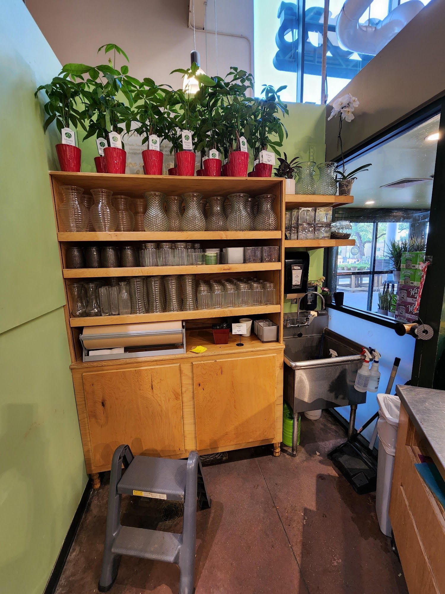 Wooden shelves with glasses, plants on top, a sink, and a step stool.