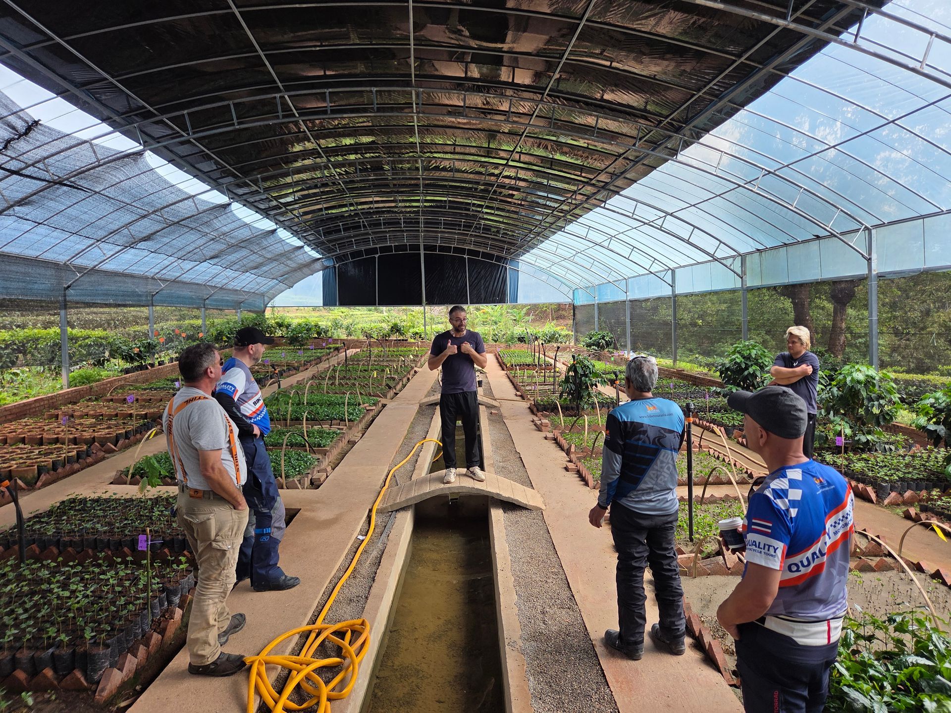 Bike Tour Asia team sightseeing tea leaves plantation