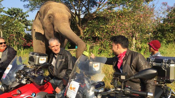 A group of men are sitting on motorcycles next to an elephant.
