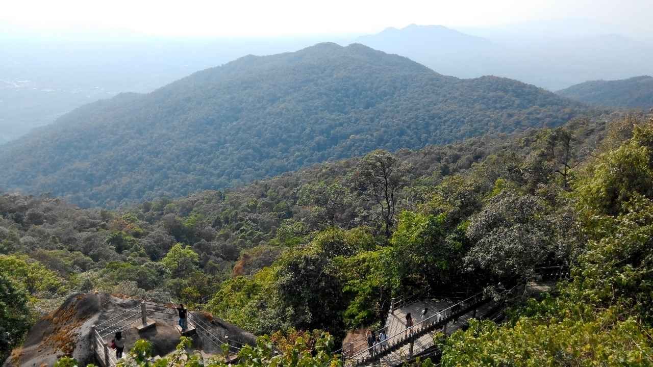 Cardamom Mountains, Cambodia