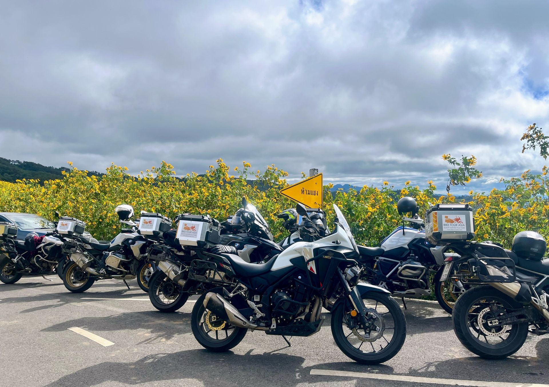Mae Sariang Sunflower field