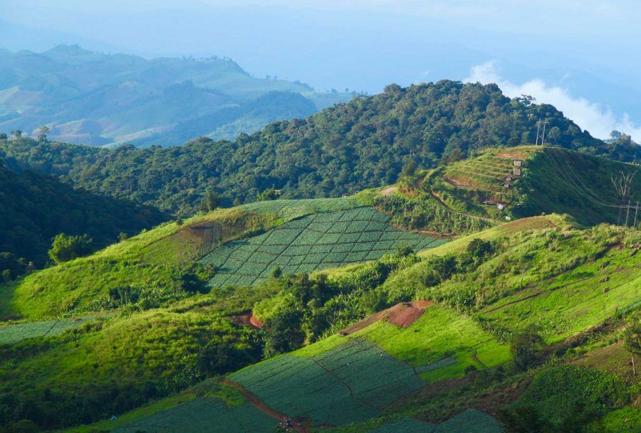 chiang mai motorbike tours