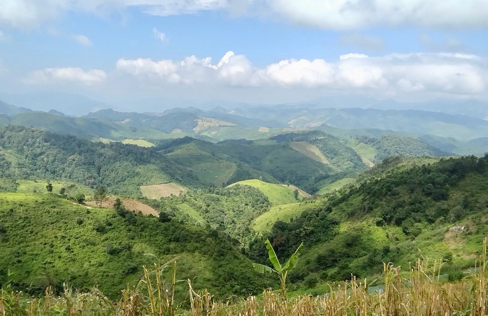 Nature view