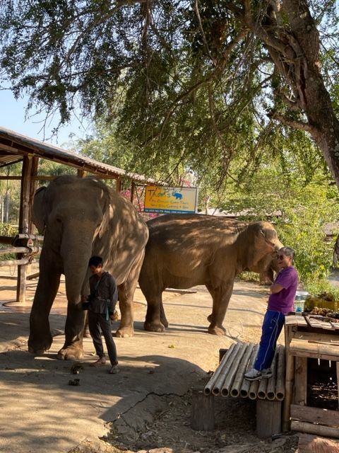 Visitors interacting with elephants at a sanctuary in northern Thailand