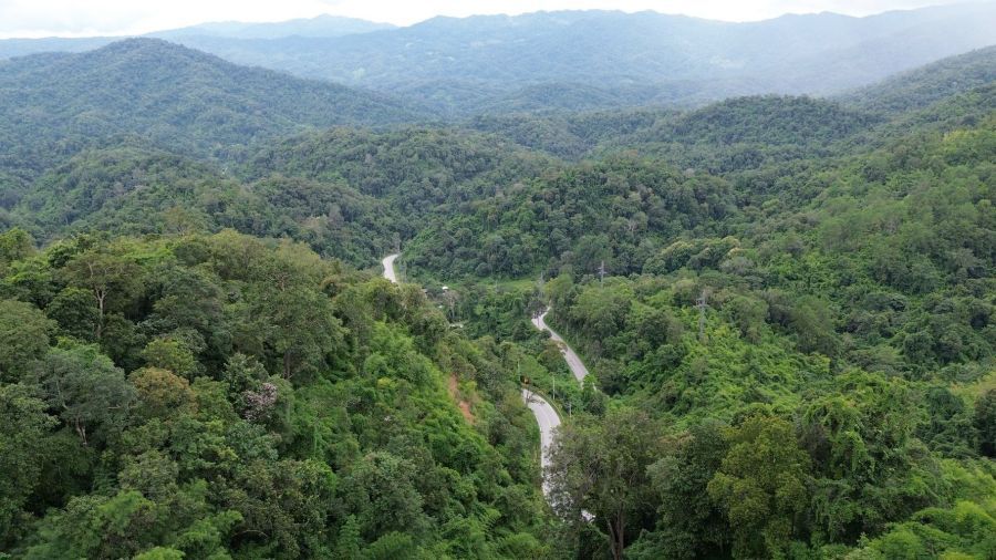 Aerial view of a winding mountain road through lush forest in Northern Thailand