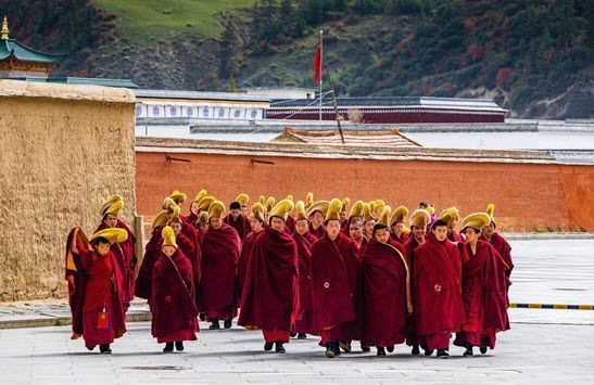 labrang monastery monks