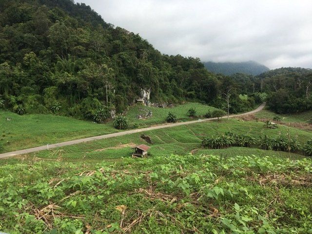A winding rural road passing through green plantations and forested mountains in northern Thailand under cloudy skies.