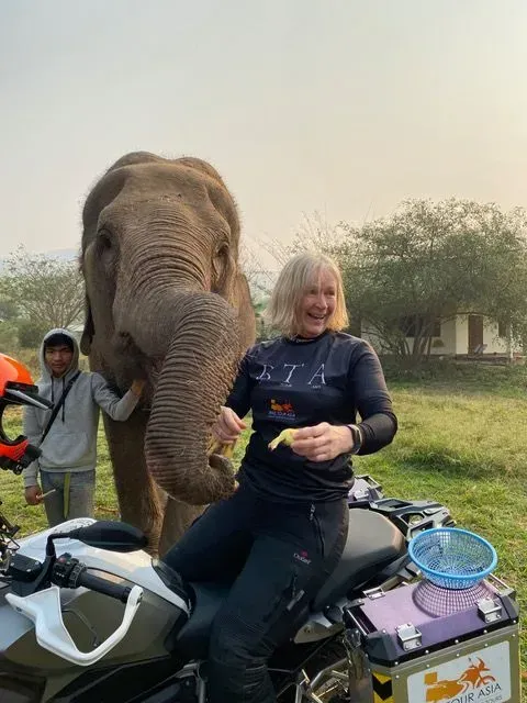 Female rider meeting an elephant during a Bike Tour Asia adventure in Thailand