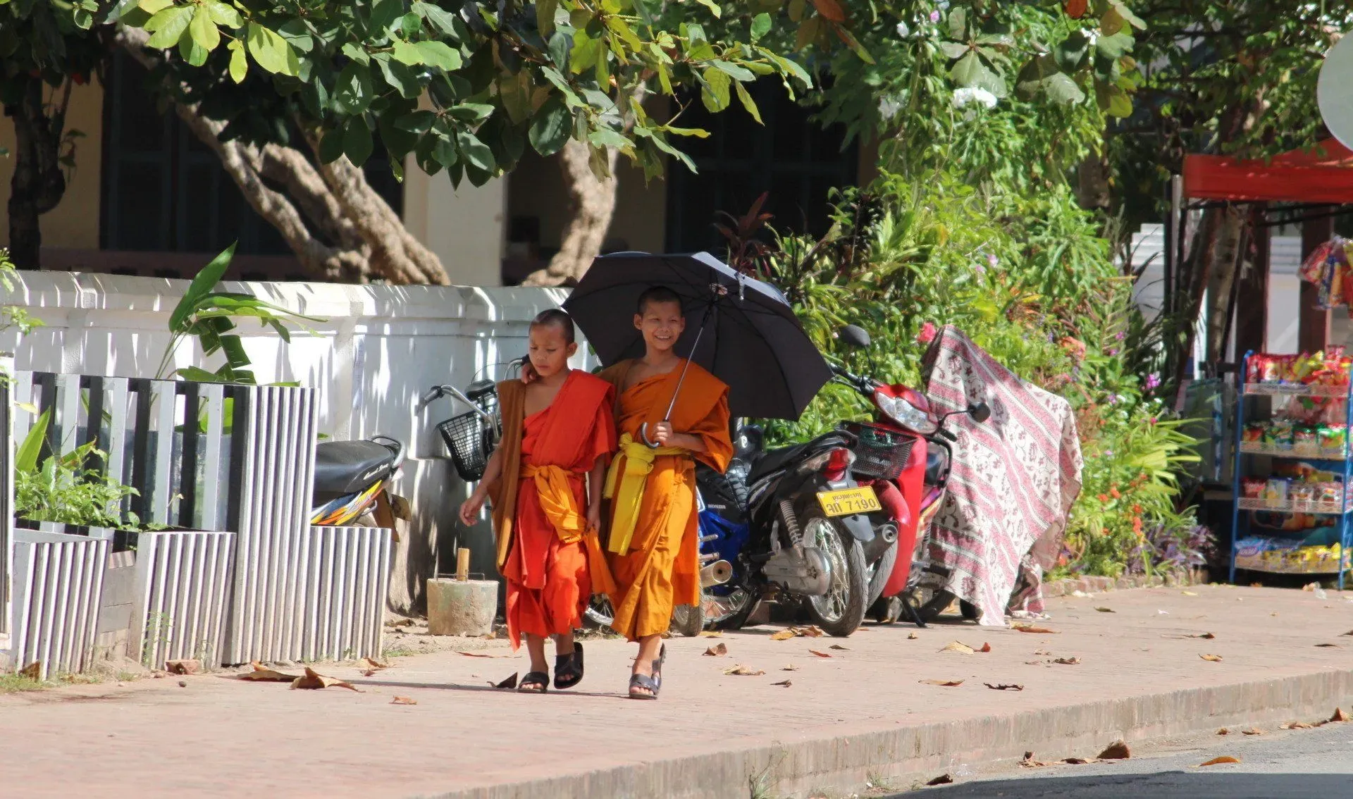 Two young monks walking together under an umbrella in Luang Prabang, Laos