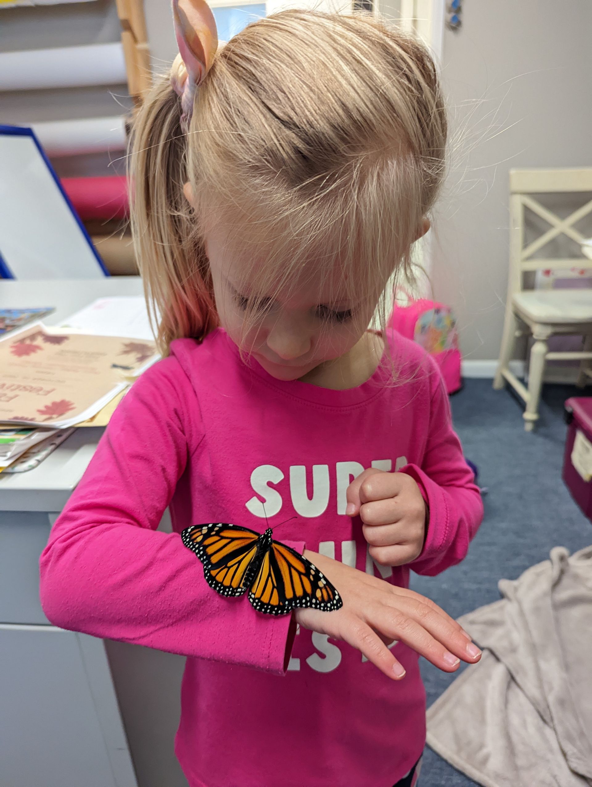 A little girl in a pink shirt is holding a butterfly on her wrist