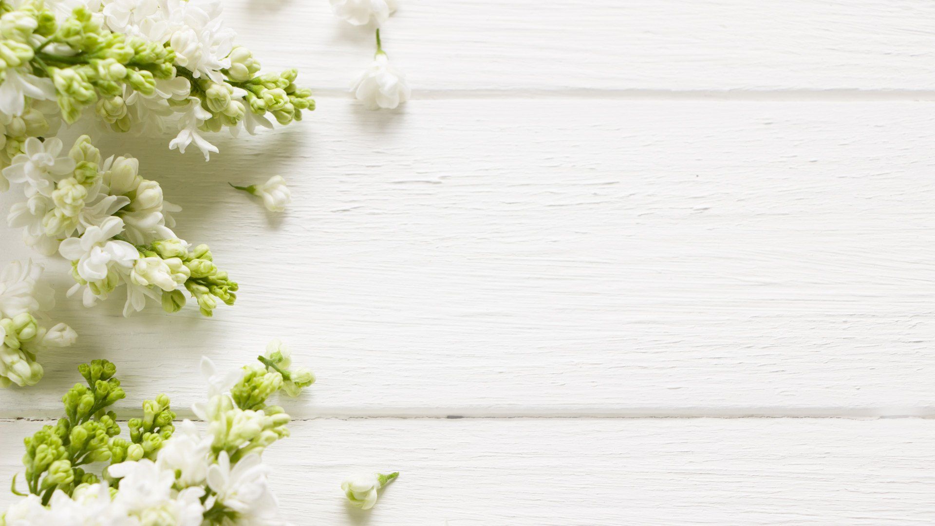 Cremation & Funeral Home Marble Falls TX | Highland Lakes Cremation Center