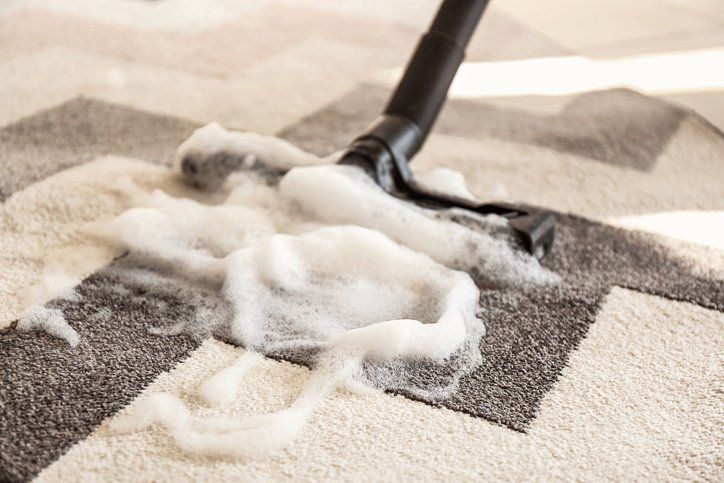 Washing the Carpet — Savannah, GA — Treat Your Feet Carpet Cleaners Inc