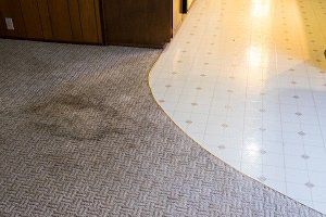Carpet Snags — Savannah, GA — Treat Your Feet Carpet Cleaners Inc