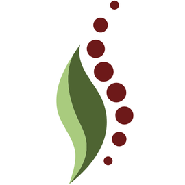 holistisch fysiotherapie Mensinga