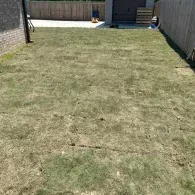 inground pool with waterful