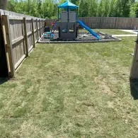 playset next to pool