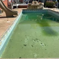 inground pool before cleaning