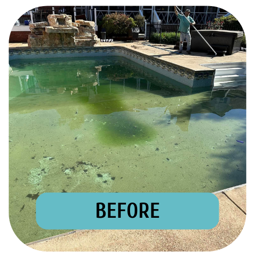 pool with green dirty water