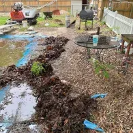 inground pool clean up