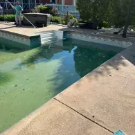 inground pool before cleaning